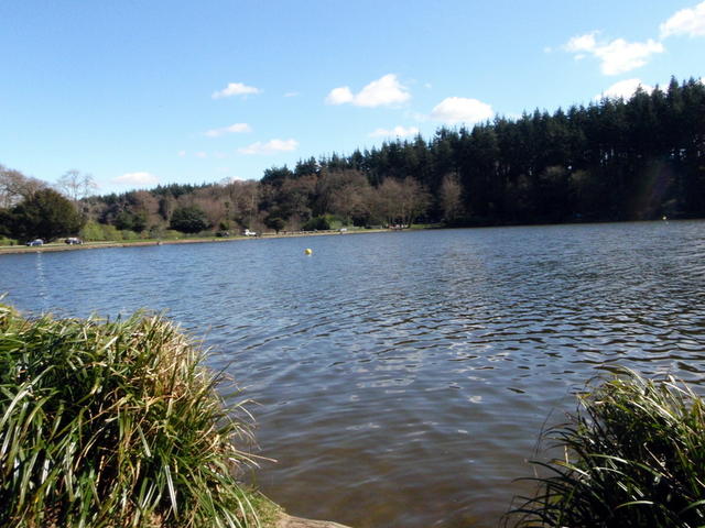 shearwater lake